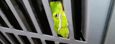 Business 37 image AAAC SERVICE HEATING AND AIR CONDITIONING Heating Service in Mcdonough GA