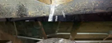 Business 5 image ACE DRAIN AND SEWER EXPERTS INC. Plumbers in Brookfield IL