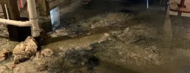 Business 13 image ACE DRAIN AND SEWER EXPERTS INC. Plumbers in Brookfield IL