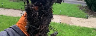 Business 19 image ACE DRAIN AND SEWER EXPERTS INC. Plumbers in Brookfield IL