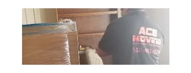 Business 13 image ACE MOVING Piano & Organ Moving in San Leandro CA
