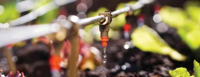 Business 7 image ACME IRRIGATION COMPANY LLC Irrigation Repair in Tucson AZ