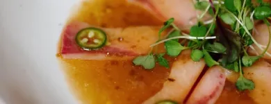 Business 14 image ADACHI SUSHI & JAPANESE CUISINE in Birmingham MI