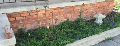 Business 13 image ADKINS MASONRY, LLC Tile & Terrazzo Contractors in Lakewood CO