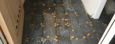 Business 87 image ADKINS MASONRY, LLC Tile & Terrazzo Contractors in Lakewood CO