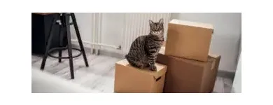 Business 2 image AIR 1 MOVING & STORAGE Moving Company in San Jose CA
