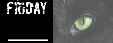 Business 2 image ALANA'S PLAYGROUND LLC Shopping & Retail in Las Vegas NV