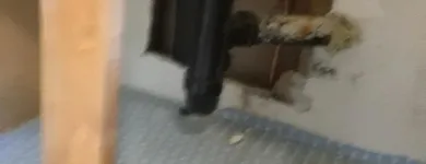 Business 23 image ALL PRO REPIPES INC in San Jose CA