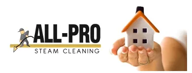 Business 10 image ALL PRO STEAM CLEANING Air Duct Vent Cleaning in Providence RI