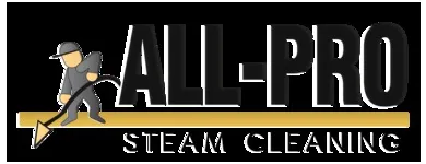 Business 6 image ALL PRO STEAM CLEANING Air Duct Vent Cleaning in Providence RI