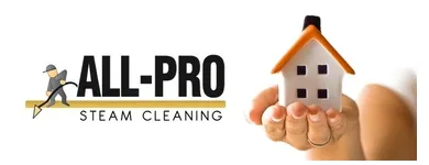 Business 1 image ALL PRO STEAM CLEANING Air Duct Vent Cleaning in Providence RI