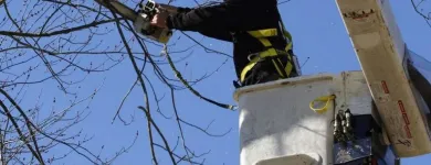 Business 1 image ALLEN CONSTRUCTION AND TREE SERVICE, LLC Tree Service in St. Louis MO