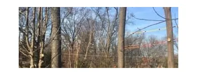 Business 3 image ALLEN CONSTRUCTION AND TREE SERVICE, LLC Tree Service in St. Louis MO