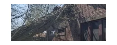 Business 5 image ALLEN CONSTRUCTION AND TREE SERVICE, LLC Tree Service in St. Louis MO