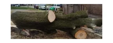 Business 15 image ALLEN CONSTRUCTION AND TREE SERVICE, LLC Tree Service in St. Louis MO