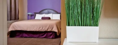 Business 4 image ALURA INN Lodging in San Jose CA