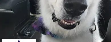 Business 3 image AMERICAN DREAM VACATIONS RV SALES & RENTALS RV Rental in Austin TX