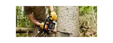 Business 1 image ANAHEIM TREE EXPERTS Tree Service in Anaheim CA