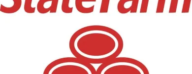 Business 2 image ANN SULLIVAN - STATE FARM INSURANCE AGENT in Mcdonough GA