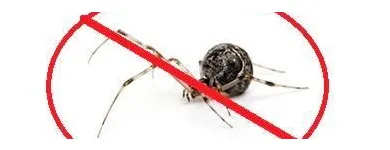 Business 1 image APEX PEST ELIMINATION bed bug removal in Oklahoma City OK