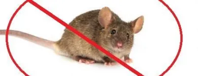 Business 2 image APEX PEST ELIMINATION bed bug removal in Oklahoma City OK