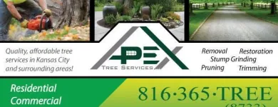 Business 1 image APEX TREE SERVICES in Kansas City MO