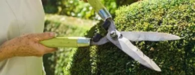 Business 2 image APEX TREE SERVICES in Kansas City MO