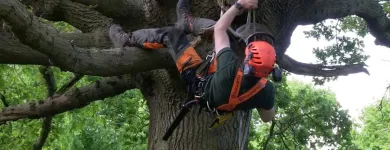 Business 3 image APEX TREE SERVICES in Kansas City MO