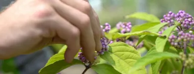 Business 8 image APPLE VALLEY ECO-LANDSCAPES Sustainable Landscaping in Oklahoma City OK