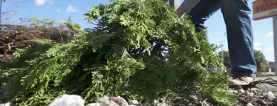 Business 11 image APPLE VALLEY ECO-LANDSCAPES Sustainable Landscaping in Oklahoma City OK