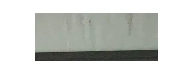 Business 7 image ARC TERMITE AND PEST CONTROL LLC in Riverview FL