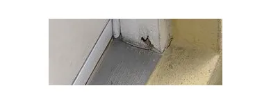 Business 8 image ARC TERMITE AND PEST CONTROL LLC in Riverview FL