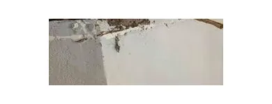 Business 11 image ARC TERMITE AND PEST CONTROL LLC in Riverview FL