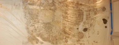 Business 1 image ARIZONA MOLD Water Damage Restoration in Tucson AZ