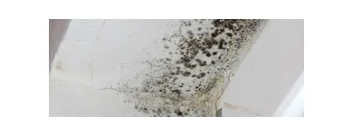 Business 2 image ATLANTIC ENVIRONMENTAL SOLUTIONS Water Damage Restoration in Baltimore MD