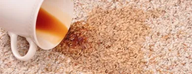 Business 2 image B1 CARPET CLEANING Carpet Cleaning Equipment Rental in Oklahoma City OK