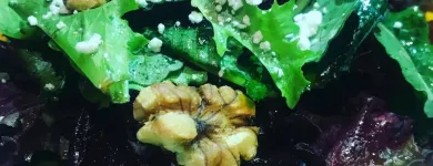 Business 42 image BACCO Wine Bars in San Francisco CA