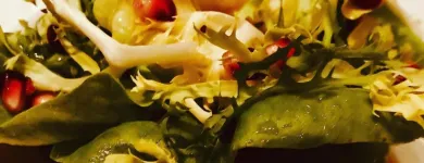 Business 51 image BACCO Wine Bars in San Francisco CA