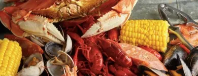 Business 1 image BACKYARD BAYOU in San Jose CA