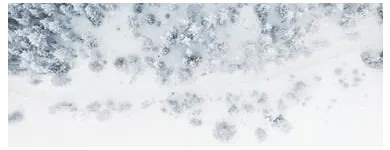 Business 3 image BATTLE IT ALL Yard Cleaning in Baltimore MD