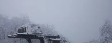 Business 4 image BATTLE IT ALL Yard Cleaning in Baltimore MD