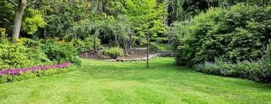 Business 8 image BATTLE IT ALL Yard Cleaning in Baltimore MD