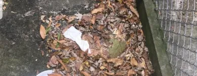 Business 13 image BATTLE IT ALL Yard Cleaning in Baltimore MD