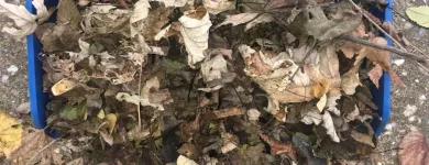 Business 14 image BATTLE IT ALL Yard Cleaning in Baltimore MD