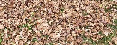 Business 16 image BATTLE IT ALL Yard Cleaning in Baltimore MD