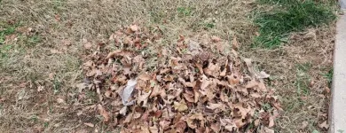 Business 17 image BATTLE IT ALL Yard Cleaning in Baltimore MD