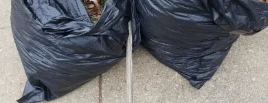 Business 22 image BATTLE IT ALL Yard Cleaning in Baltimore MD