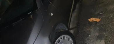 Business 20 image BAY AREA AUTO DETAILING Auto Detailing Service in San Francisco CA