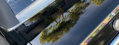 Business 32 image BAY AREA AUTO DETAILING Auto Detailing Service in San Francisco CA