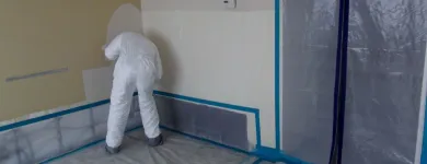 Business 1 image BEST AMERICAN BUILDERS INC Mold Testing & Removal in Sherman Oaks CA